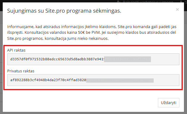 API rakto pateikimo langas